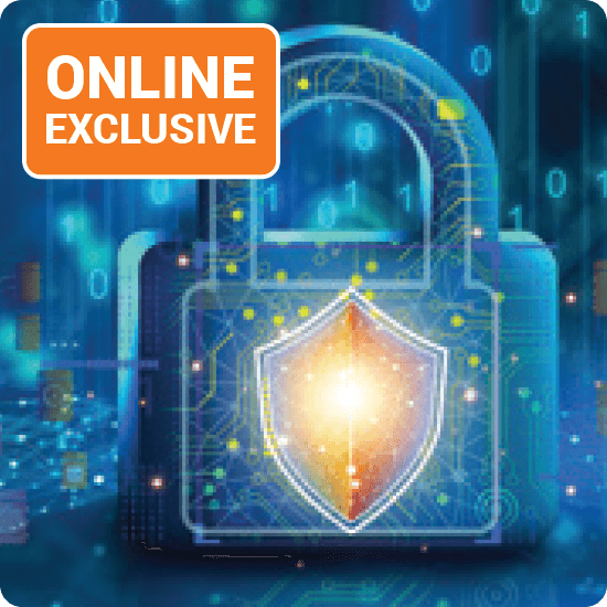 Visual depicting cyber security themes, emphasizing online exclusivity and safeguarding digital information