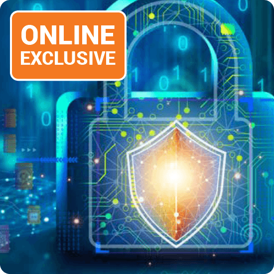 Visual of a shield with a digital padlock, illustrating the concept of cyber security and online safety.