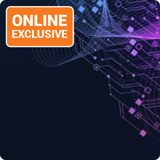 Graphic representation of the online exclusive logo, highlighting its modern aesthetic and distinctive typography.