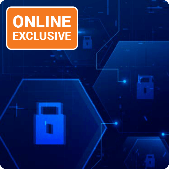 Online exclusive banner emphasizing the importance of securing your data with a lock symbol.