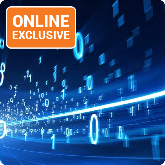 Screenshot of an online exclusive offer, showcasing promotional details and product images.