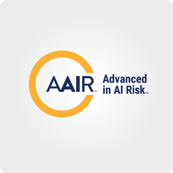 AAIR Advanced in AI Risk