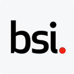 British Standards Institution logo