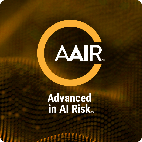 AAIR Advanced in AI Risk logo