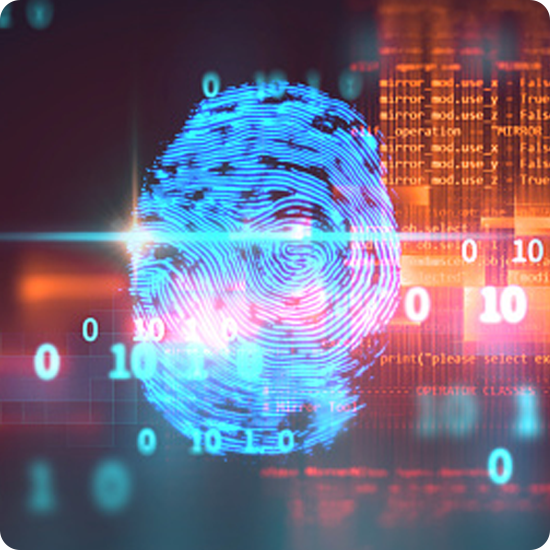 Digital fingerprint