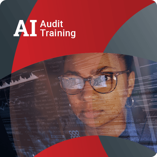 AI Audit Training