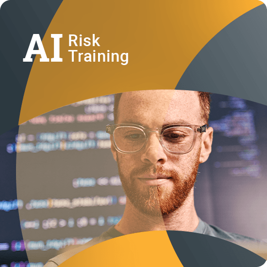 AI Risk Training