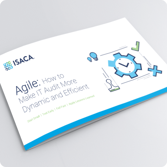 How to Make IT Audit More Dynamic and Efficient