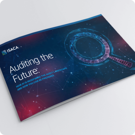 Auditing the Future: Ebook