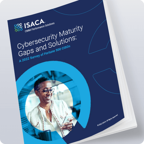 Cybersecurity Maturity: Gaps and Solutions