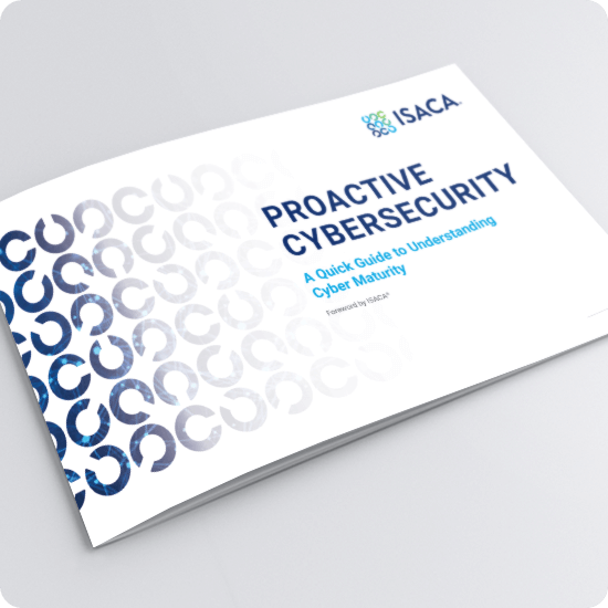 Proactive Cybersecurity A Quick Guide to Understanding Cyber Maturity