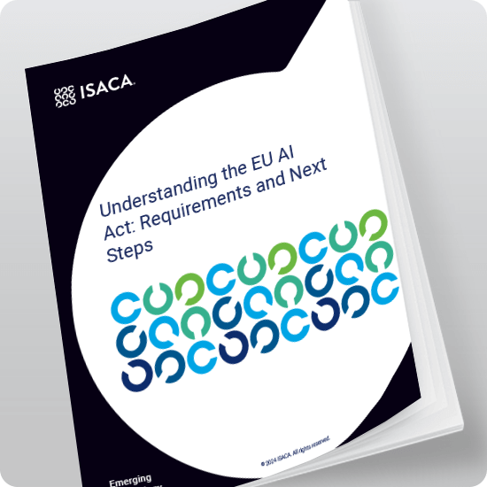 Understanding the EU AI Act