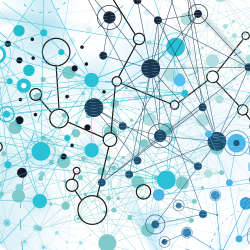 The Network