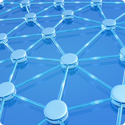 The Network