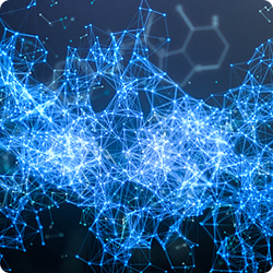 Vendor Governance