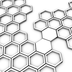 Risk Governance