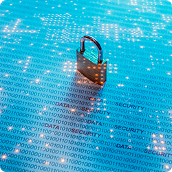Privacy professionals