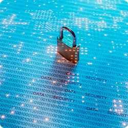 Privacy professionals