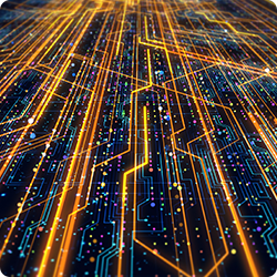 The Network