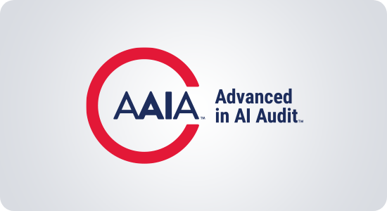 Advanced in AI Audit
